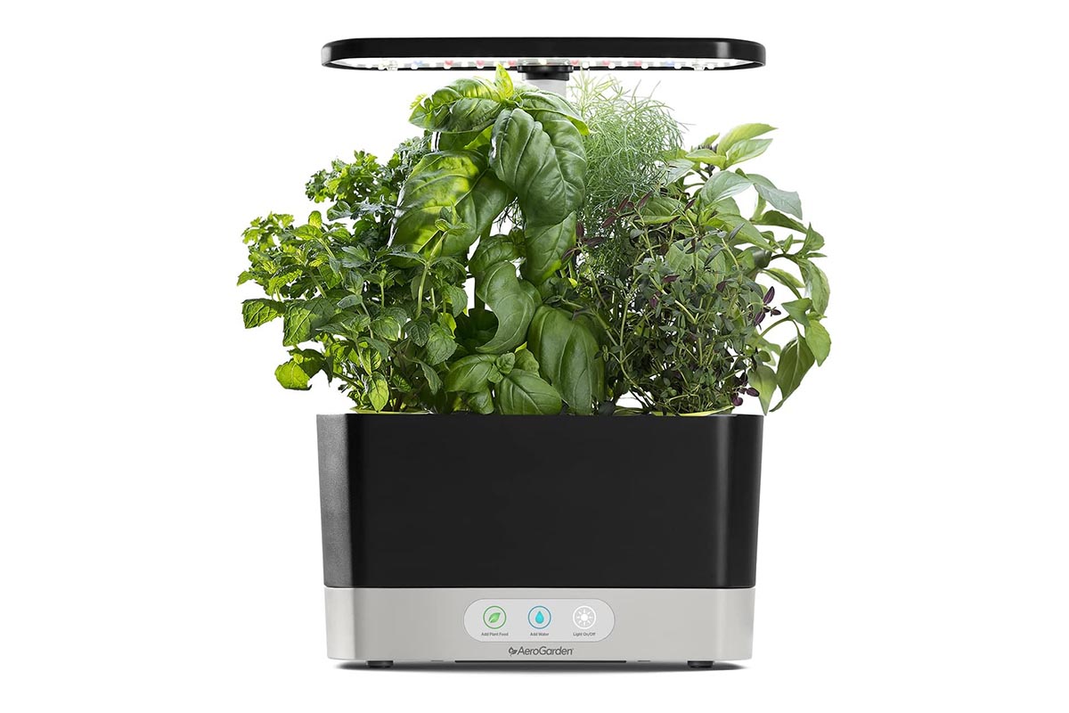Best Gifts for Empty Nesters Option AeroGarden Herb Seed Pod Kit