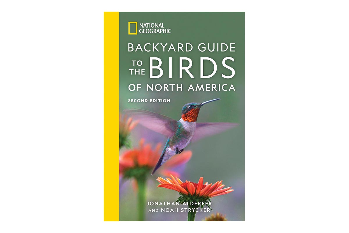 Best Gifts for Empty Nesters Option Backyard Guide to the Birds of North America