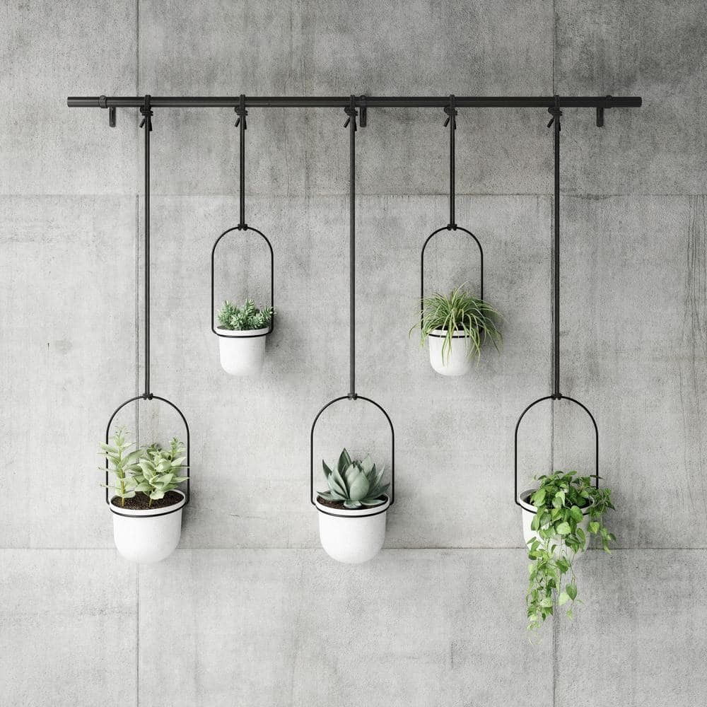 Best Gifts for Empty Nesters Option Umbra Triflora Hanging Plastic Planter