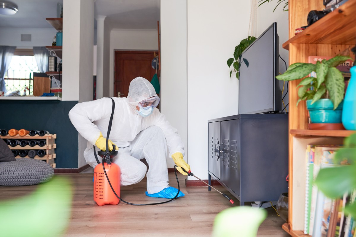 A pest control expert in a white suit uses a tool to spray a solution under a TV console. 