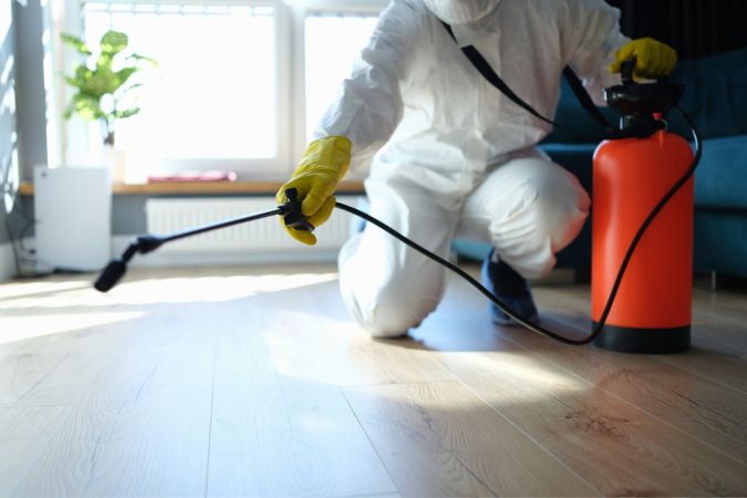 How Much Does Pest Control Cost in Orlando, Florida? (2024 Guide)