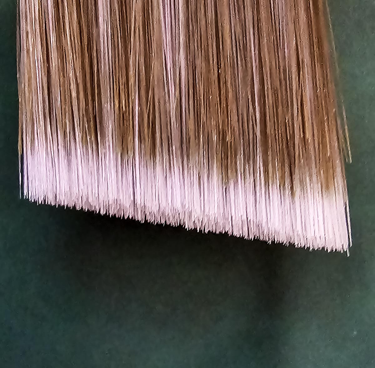 The angled bristles of the Purdy 2-inch XL Glide Paint Brush.