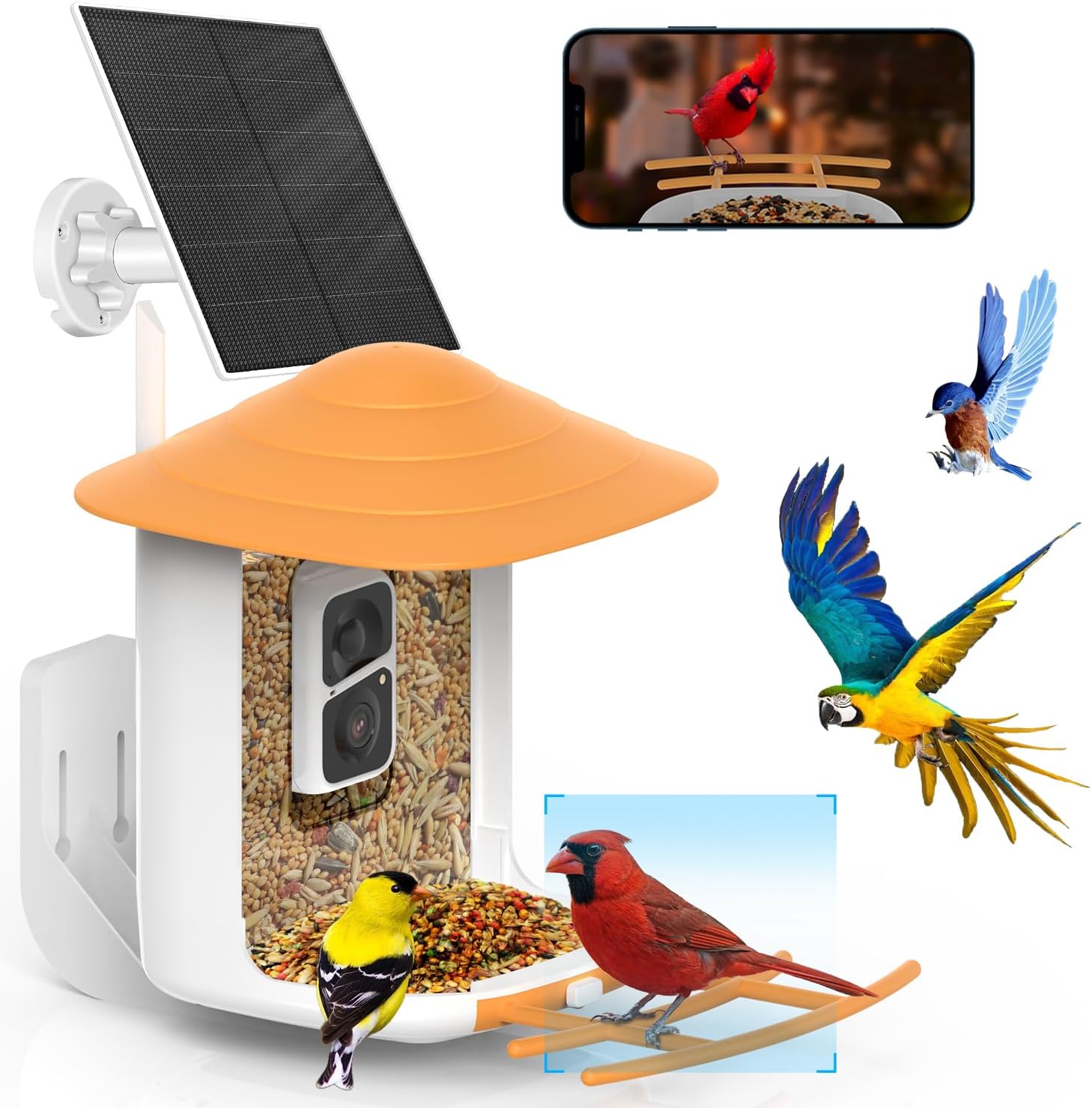An edited product photo of birds flocking to the solar-powered Soliom BF09 Bird Feeder.