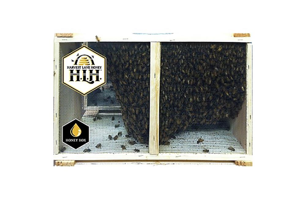Strange Things You Didn’t Know Tractor Supply Co. Sells Option Live Bees