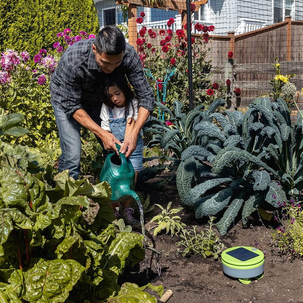 A Tertill Garden Weeding Robot working in a home garden bed next to a father and daughter watering plants.