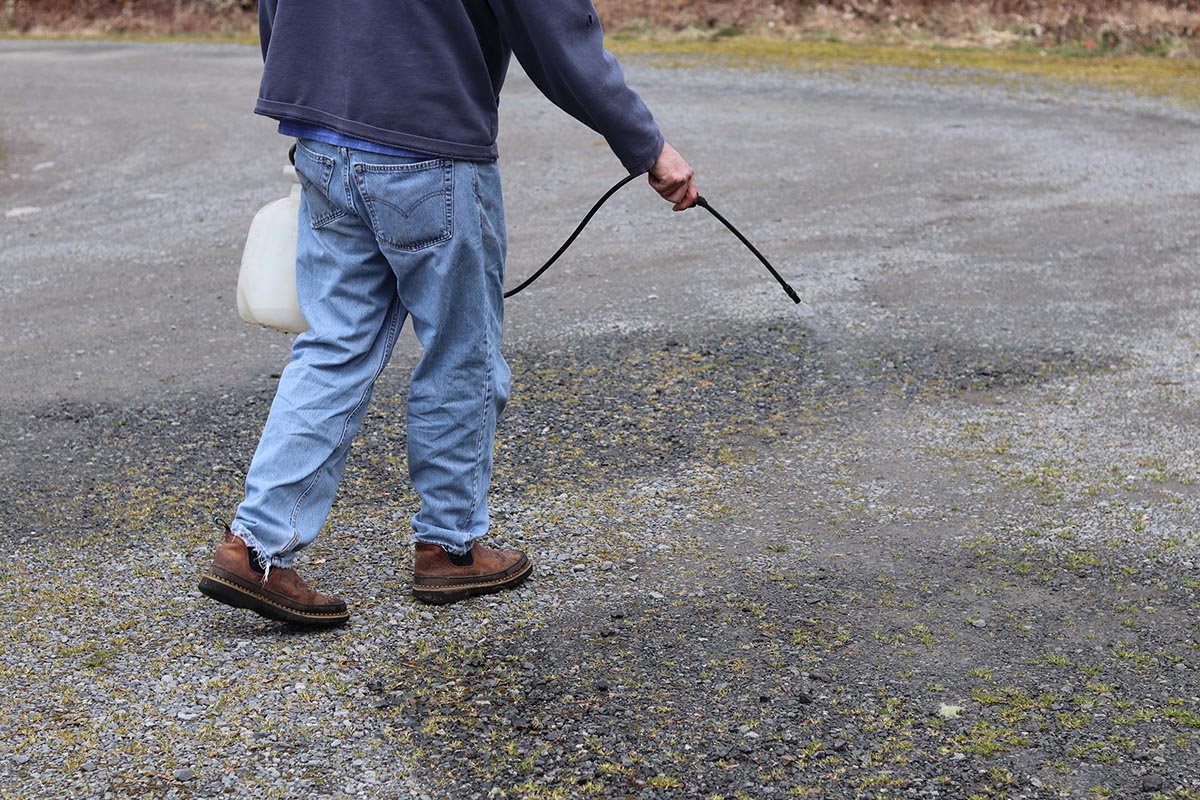 The Best Pet-Safe Weed Killer Eco Garden Pro (4)