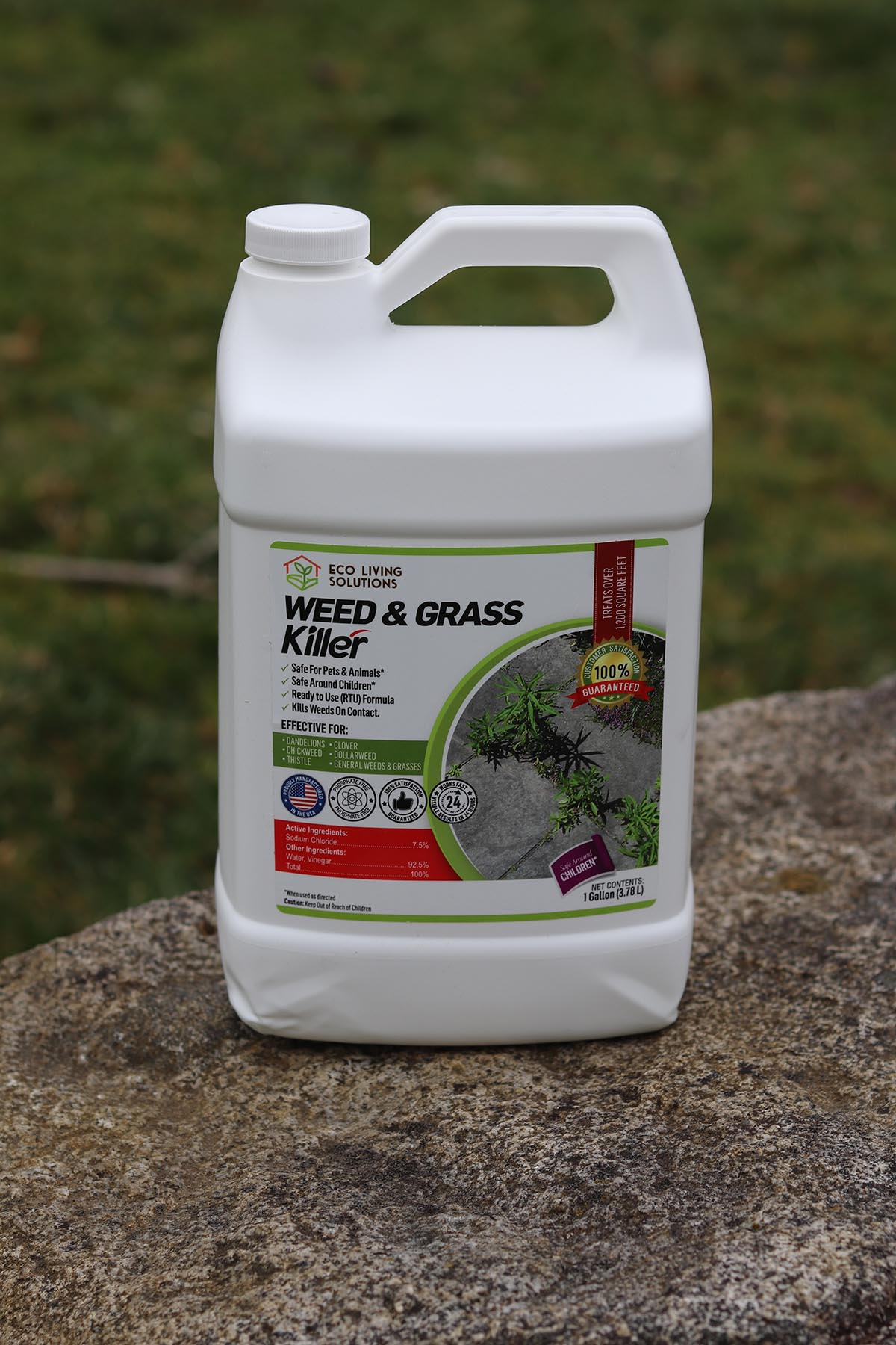 The Best Pet-Safe Weed Killer Eco Garden Pro