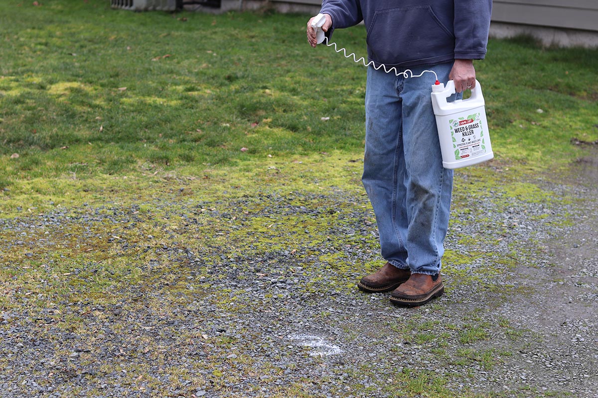 The Best Pet-Safe Weed Killer Mighty Mint (5)