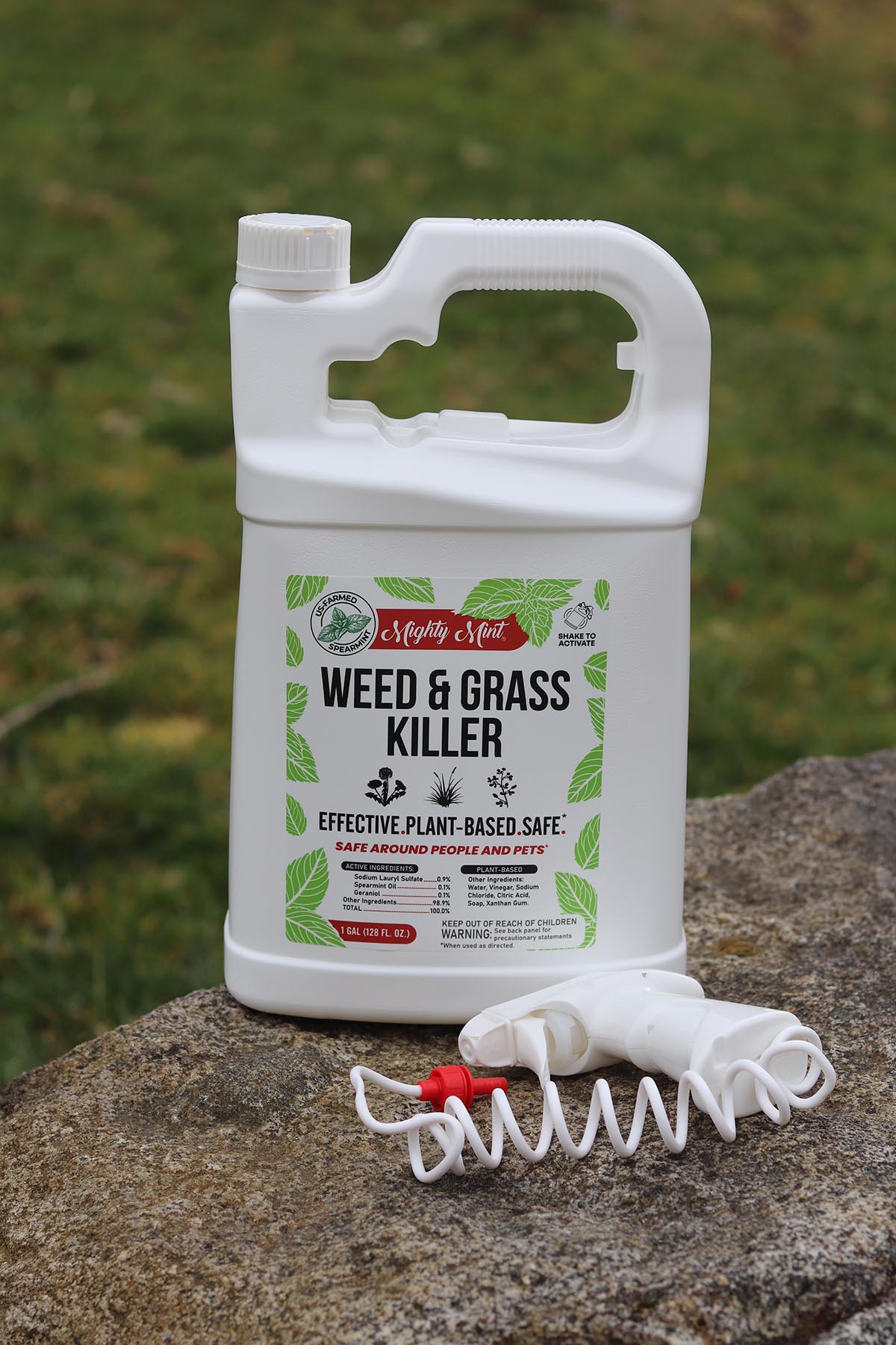 The Best Pet-Safe Weed Killer Mighty Mint