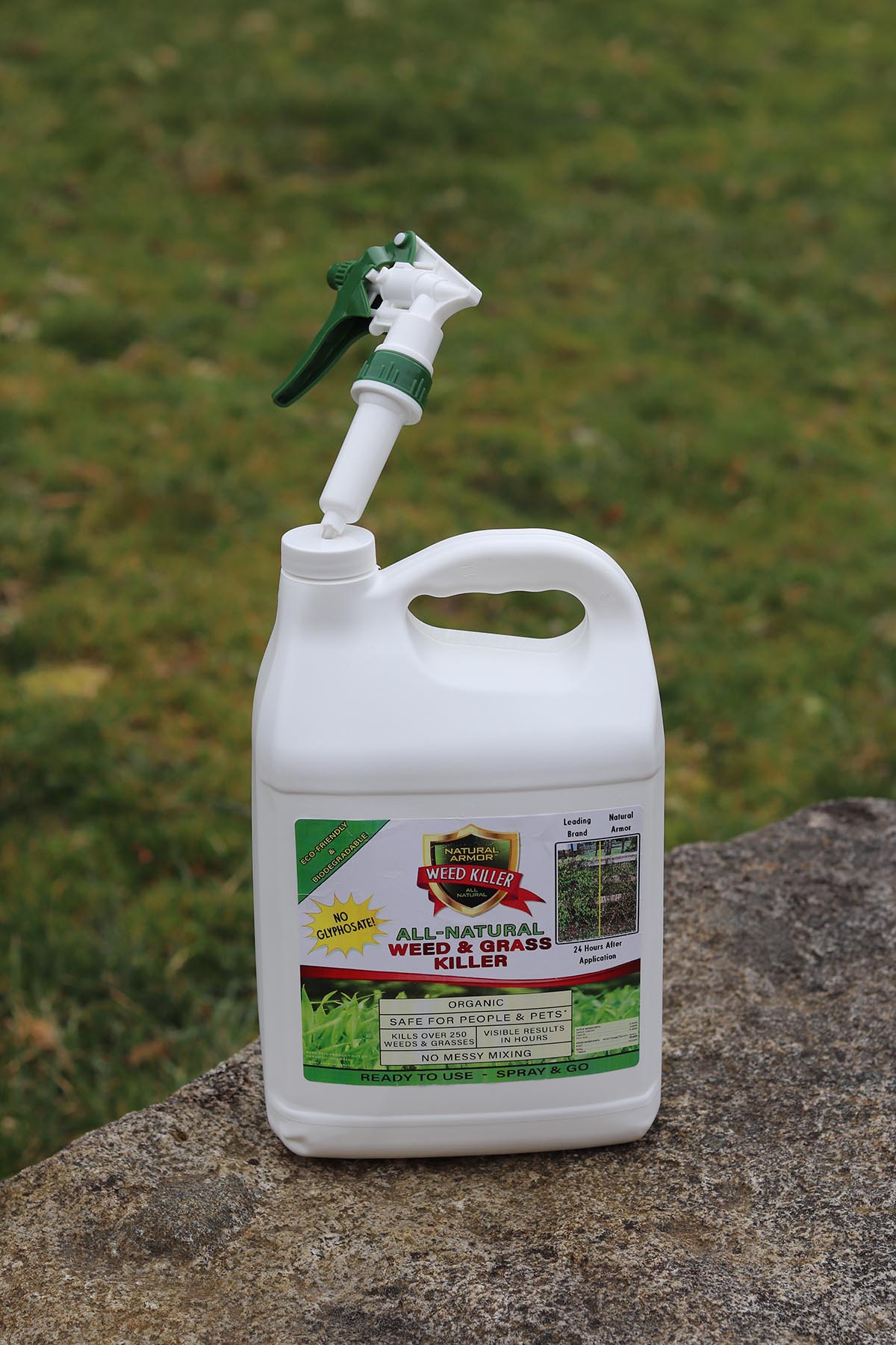 The Best Pet-Safe Weed Killer Natural Armor (2)
