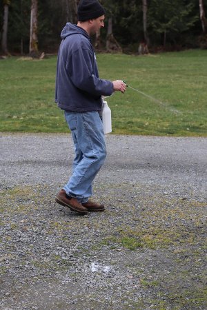 The Best Pet-Safe Weed Killer Natural Armor (3)