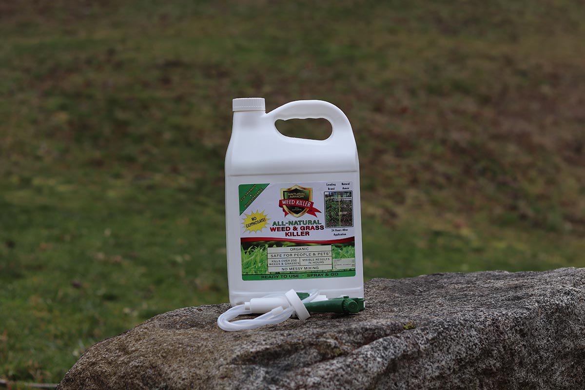 The Best Pet-Safe Weed Killer Natural Armor