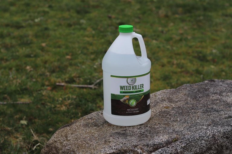 The Best Pet-Safe Weed Killer Natural Elements