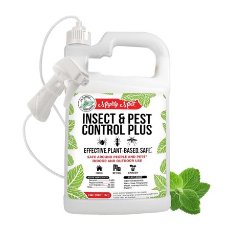  The Best Pet-Safe Weed Killer Option Mighty Mint Weed and Grass Killer