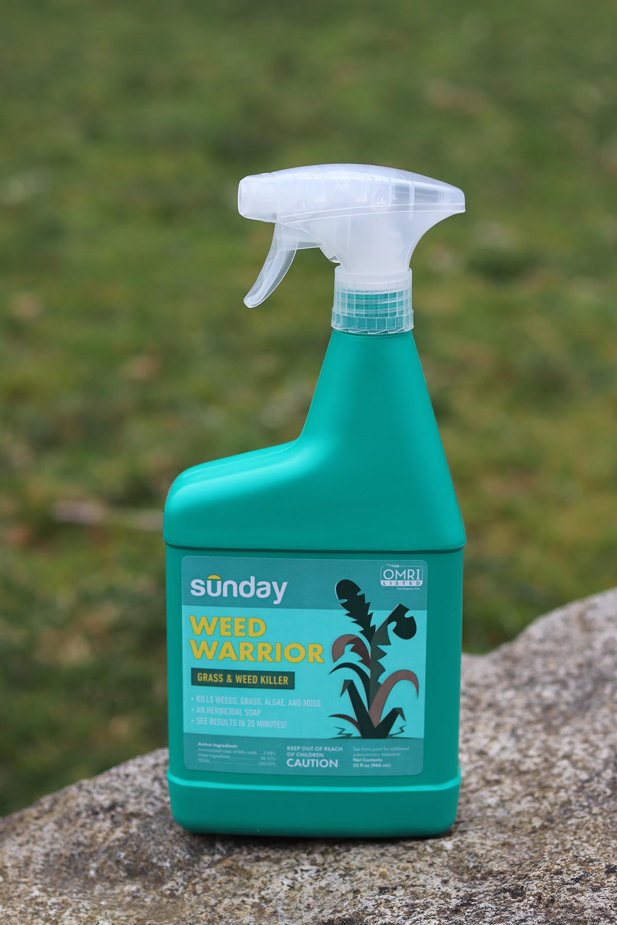 The Best Pet-Safe Weed Killer Sunday Warrior (2)