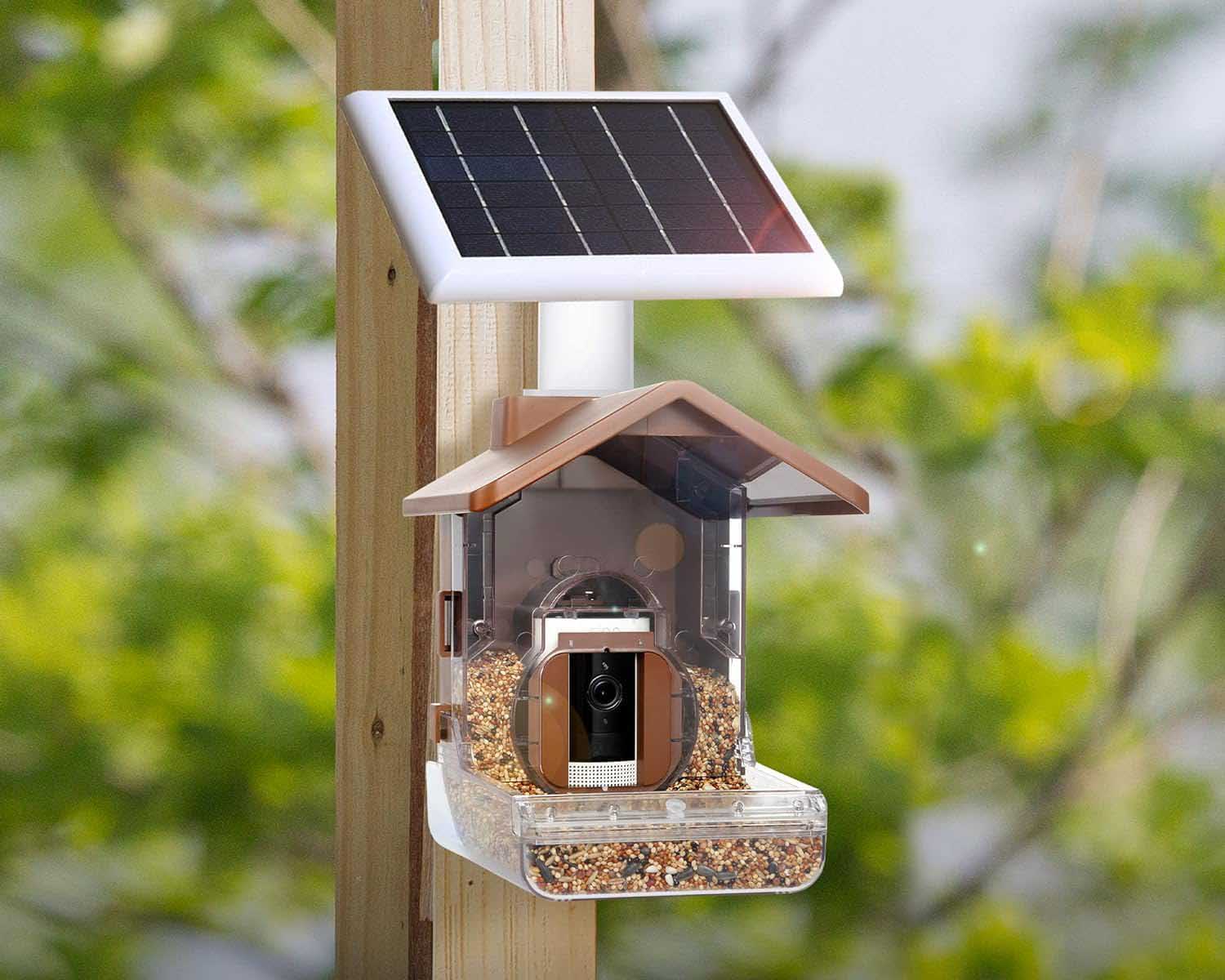 Things Every Backyard Bird-Watcher Needs for Their Yard Option Wasserstein Bird Feeder Camera Case