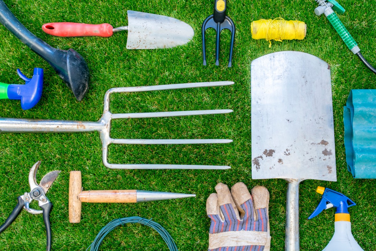 Various garden hand tools like rakes, shovels, gloves and trowels on green grass.