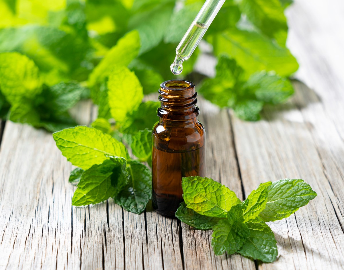 A pipette is dripping drops of peppermint oil from a bottle surround by mint leaves.