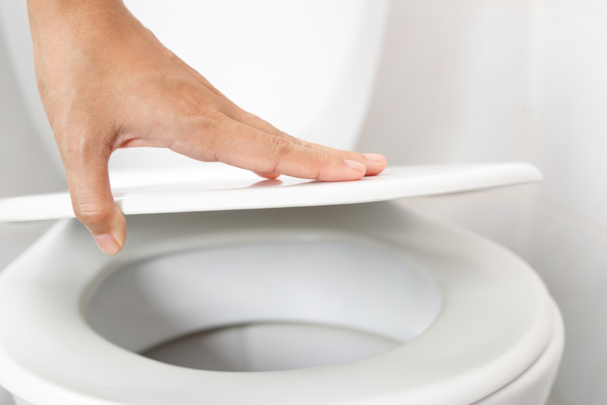 A person opening a toilet lid.