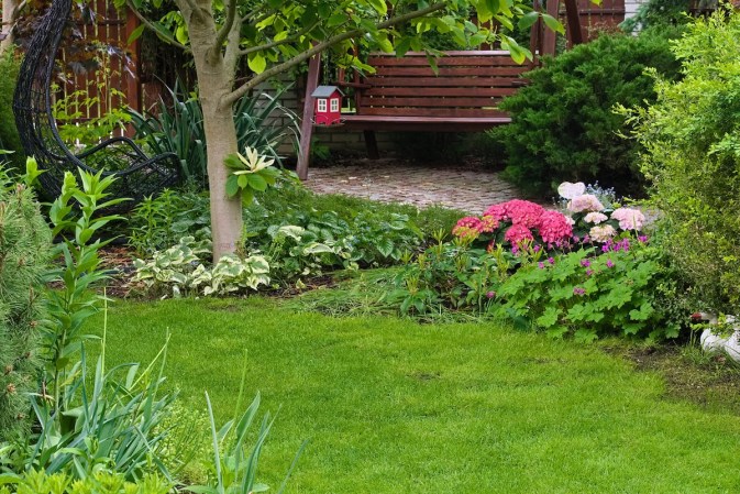 A shady perennial garden in a residential neighborhood filled with flowers and foliage that can tolerate shade.