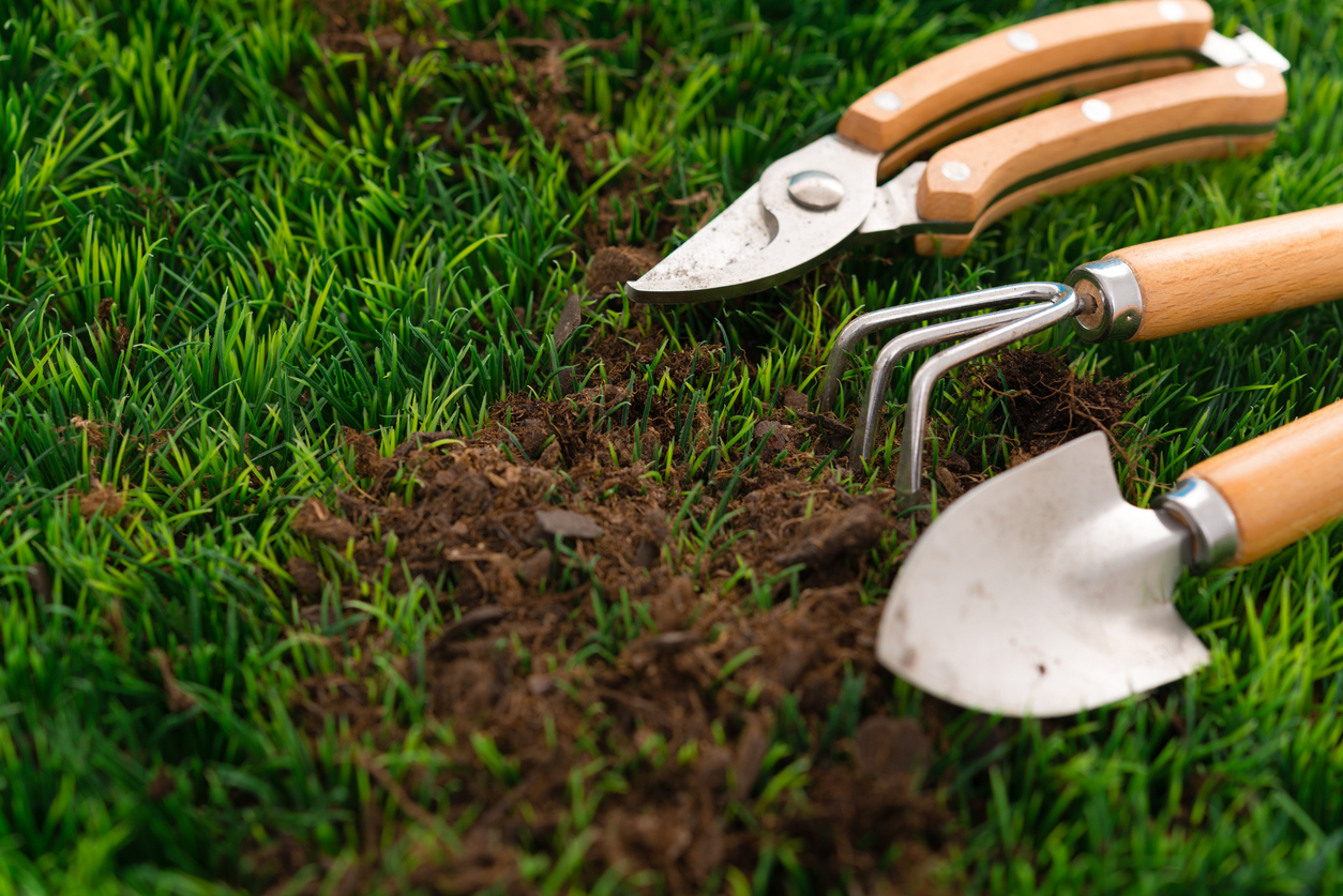 Clean garden tools near a patch of dirt in green grass.