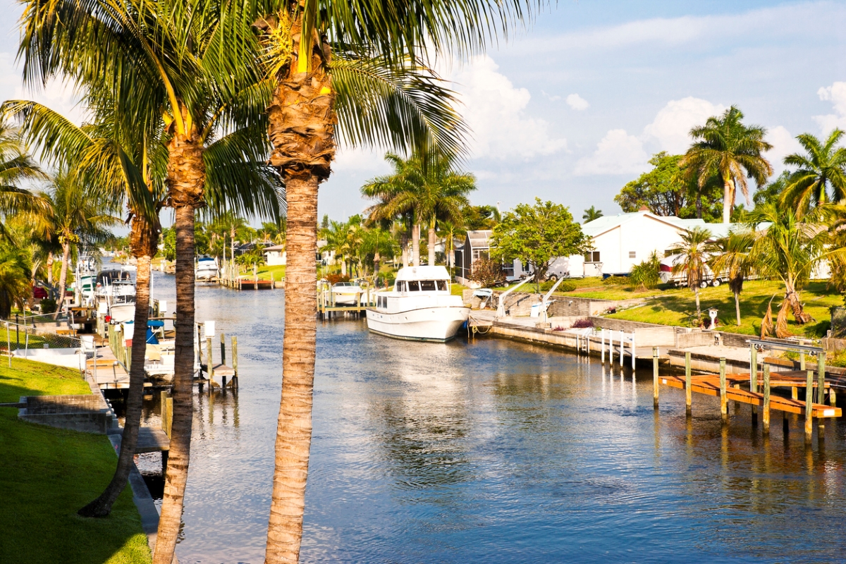 Water canal with palm trees and boats.