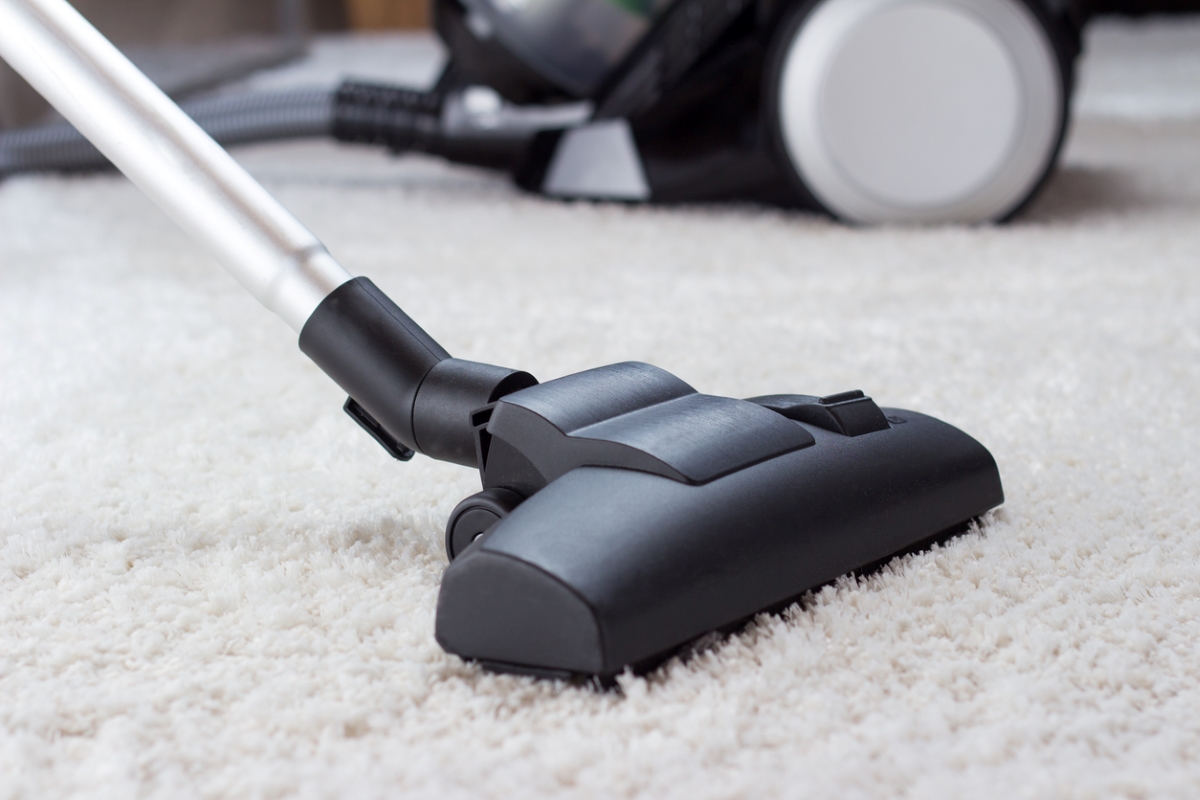 Long end of vacuum cleaner on white carpet.