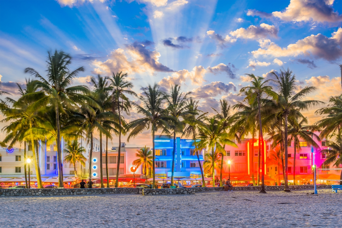 View of palm trees and colorfully lit buildings from beach.