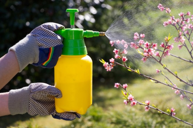 Effective and Humane Ways to Get Rid of Moles (and Take Back Your Lawn)