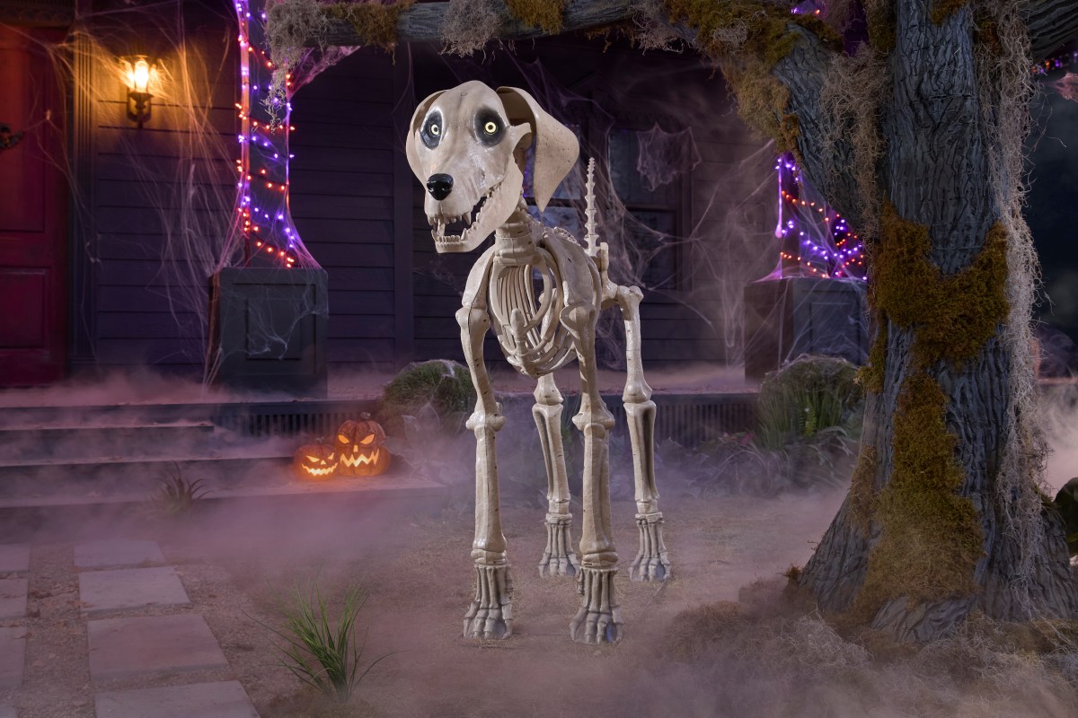 Giant spooky skeleton dog