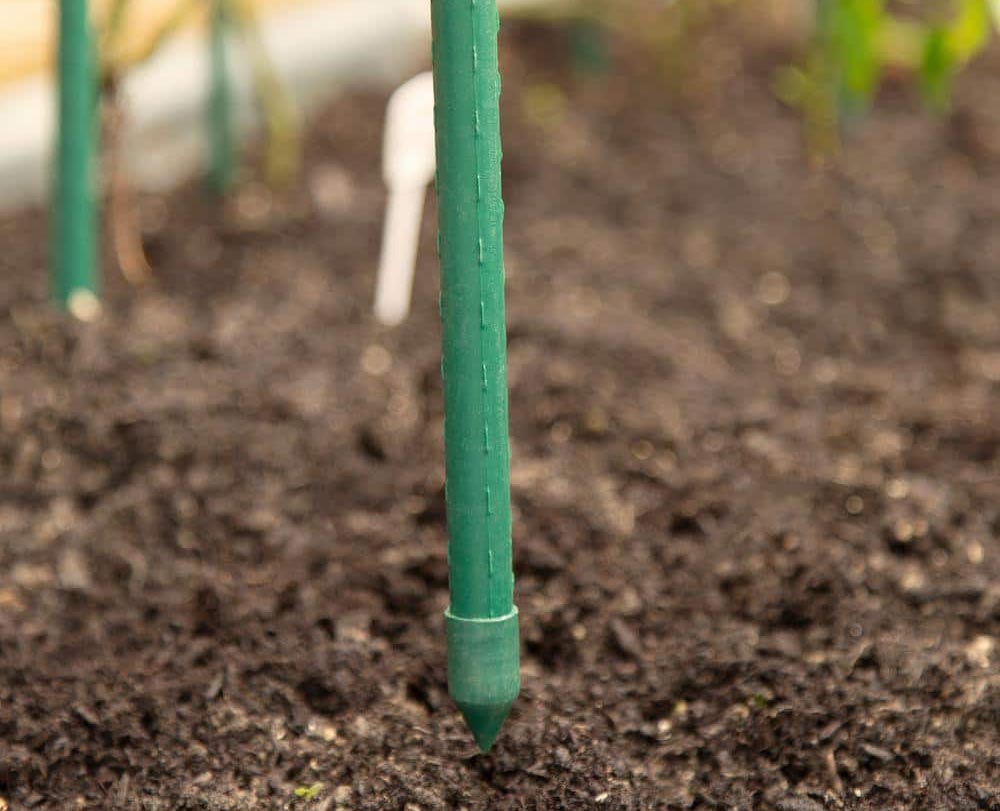 Everything You Need to Start a Raised-Bed Garden Heavy-Duty Plant and Garden Stakes