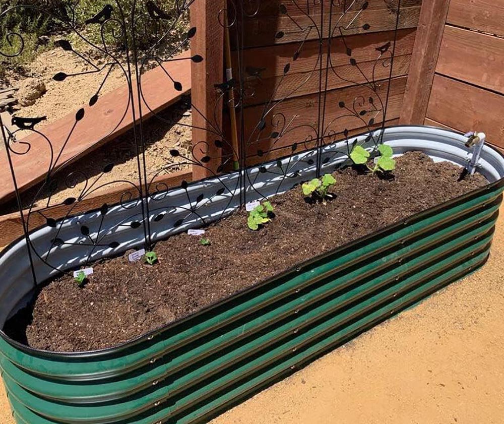 Everything You Need to Start a Raised-Bed Garden Modular Metal Raised Garden Beds