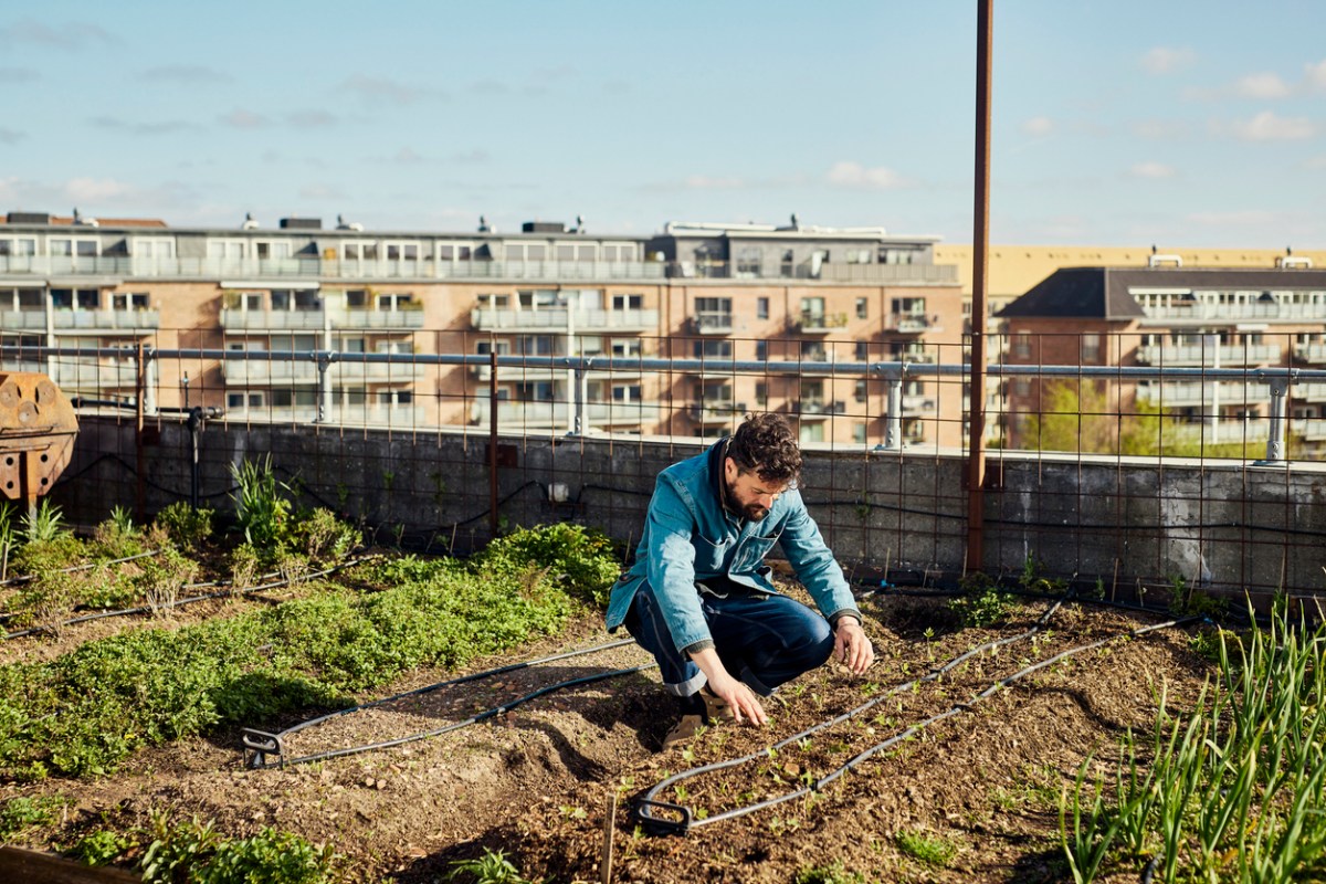 Portrait of an urban farmer on a rooftop farm.