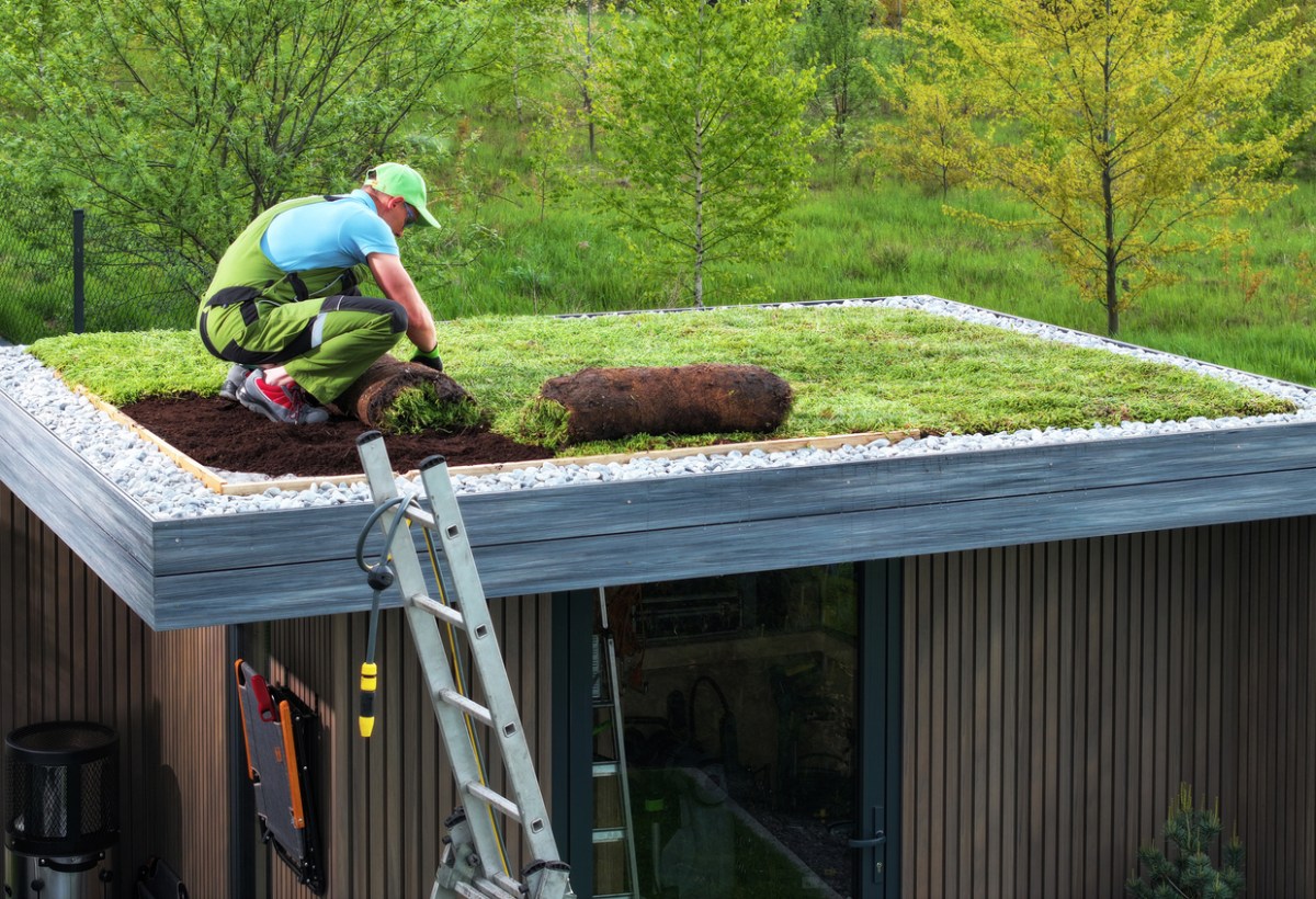 A worker builds a green roof.