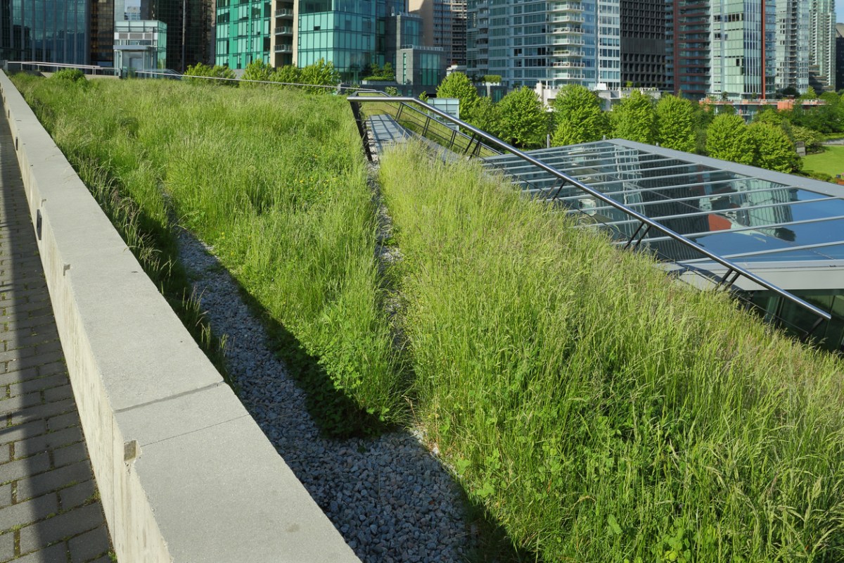 A view of an environmentally friendly, lush, 6 acre green roof.
