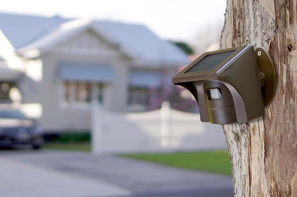 A close up of a driveway alarm attached to a tree. 