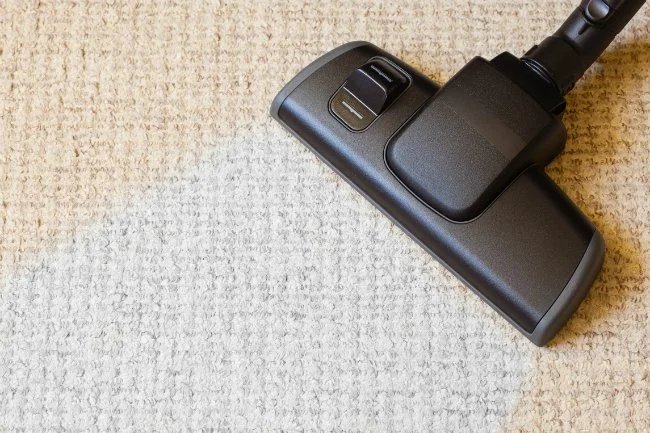 Homemade Carpet Cleaner
