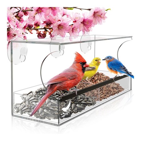 Nature's Hangout Window Bird Feeder With Suction Cups