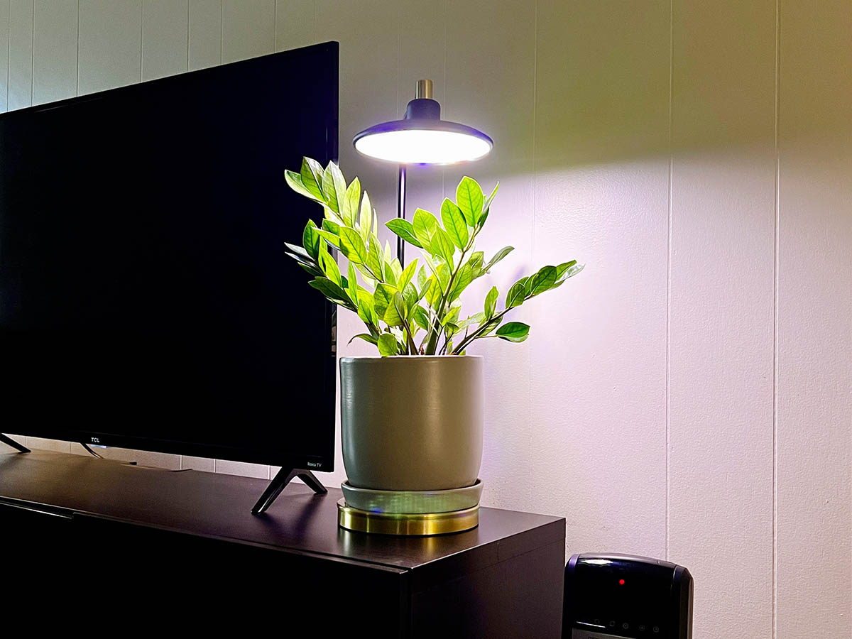 The Best Grow Light, the AeroGarden Tabletop Grow Light, over a plant on a computer desk.