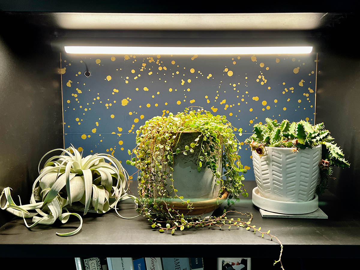 The 10 Best Grow Lights for Lush, Healthy Plants, Tested