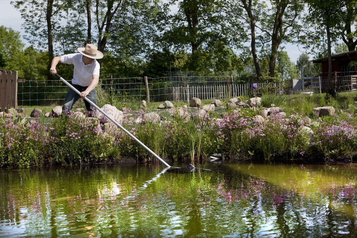 Gardener with hat skims and cleans a natural pool.