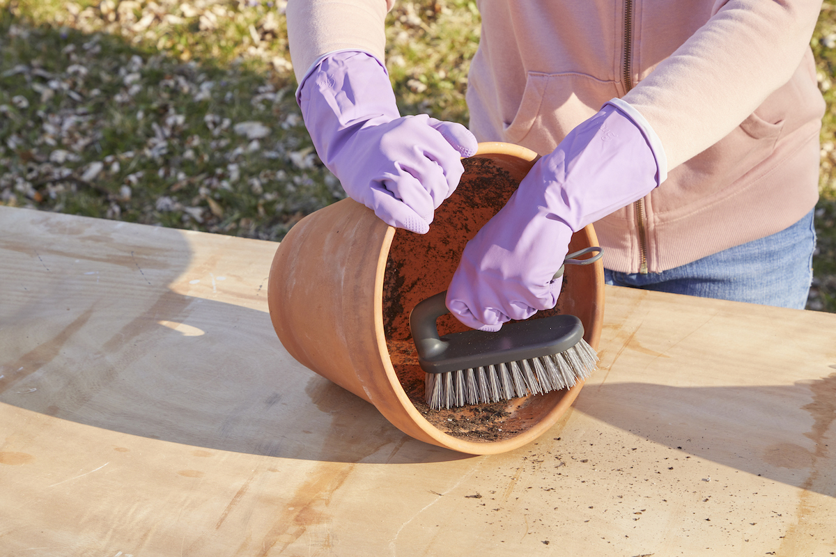 Woman uses scrub brush to clean dirt inside terra-cotta pots.