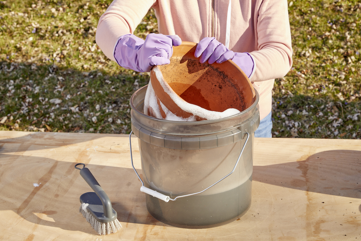 Woman washing a terra-cotta pot in a bucket filled with soapy water.