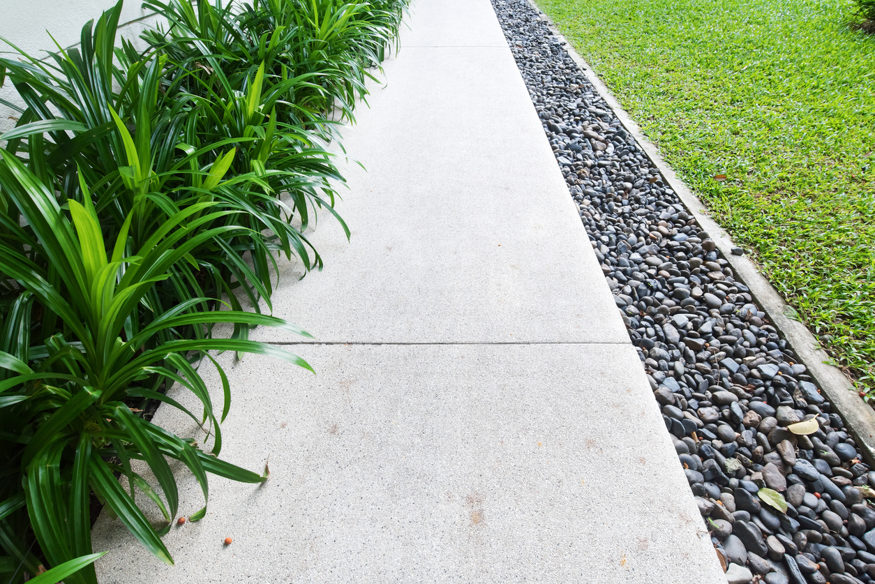 A garden pathway featuring rocks lining the right side and plants lining the left side.