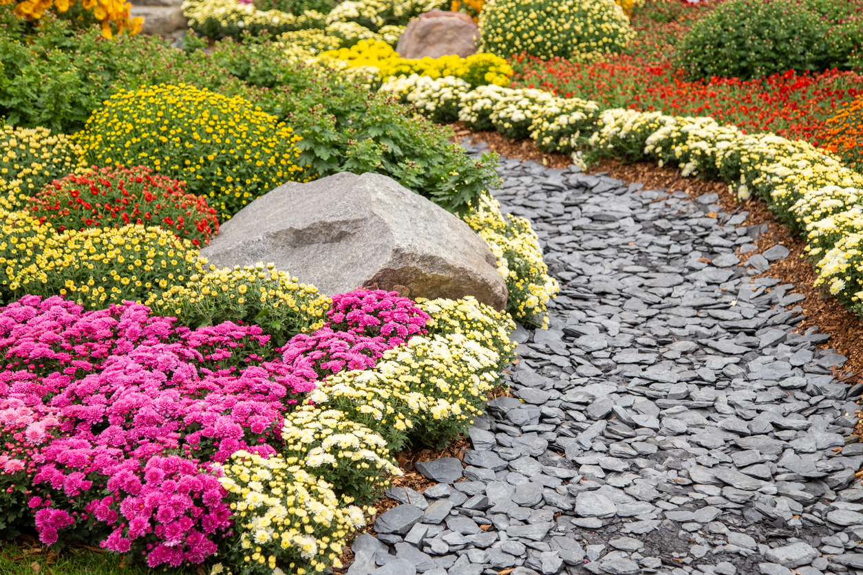 A garden pathway made of slate chips is lined on both sides by large rocks and colorful flowers and plants.