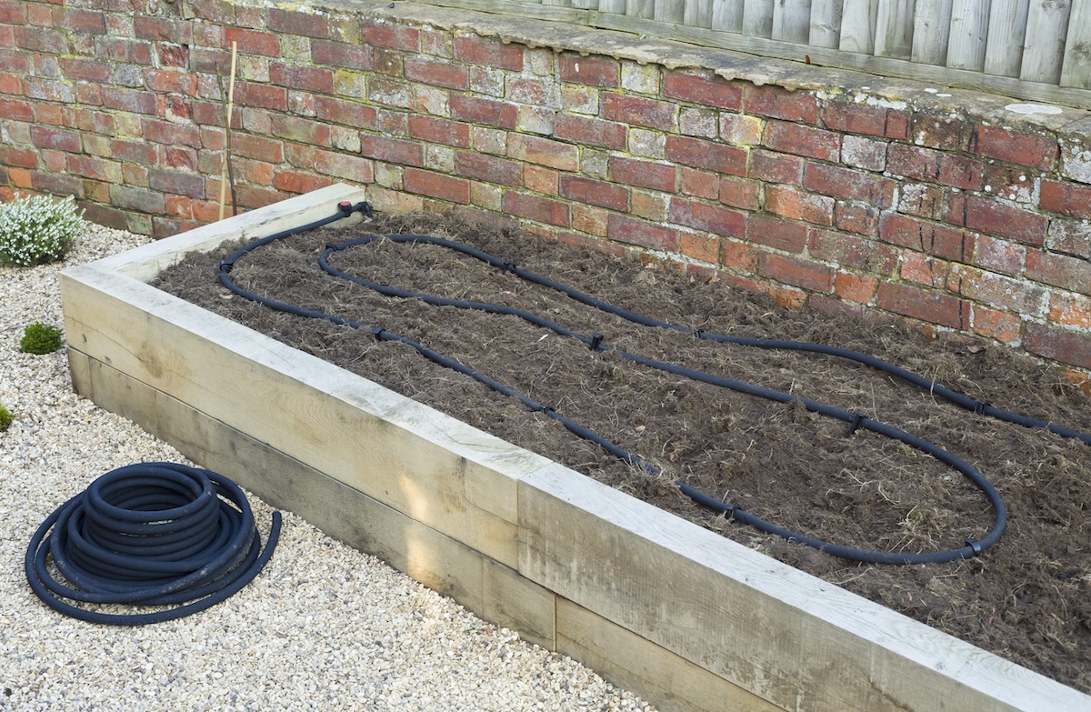 A raised bed garden with a soaker hose drip irrigation system installed.