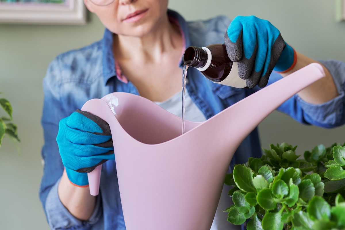A person pours hydrogen peroxide into a garden watering can.