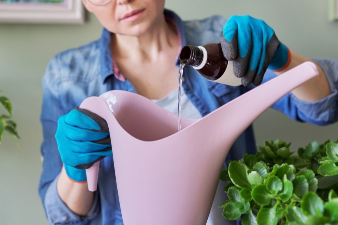 How to Use Hydrogen Peroxide for Plants (Hint: Experts Say Sparingly)