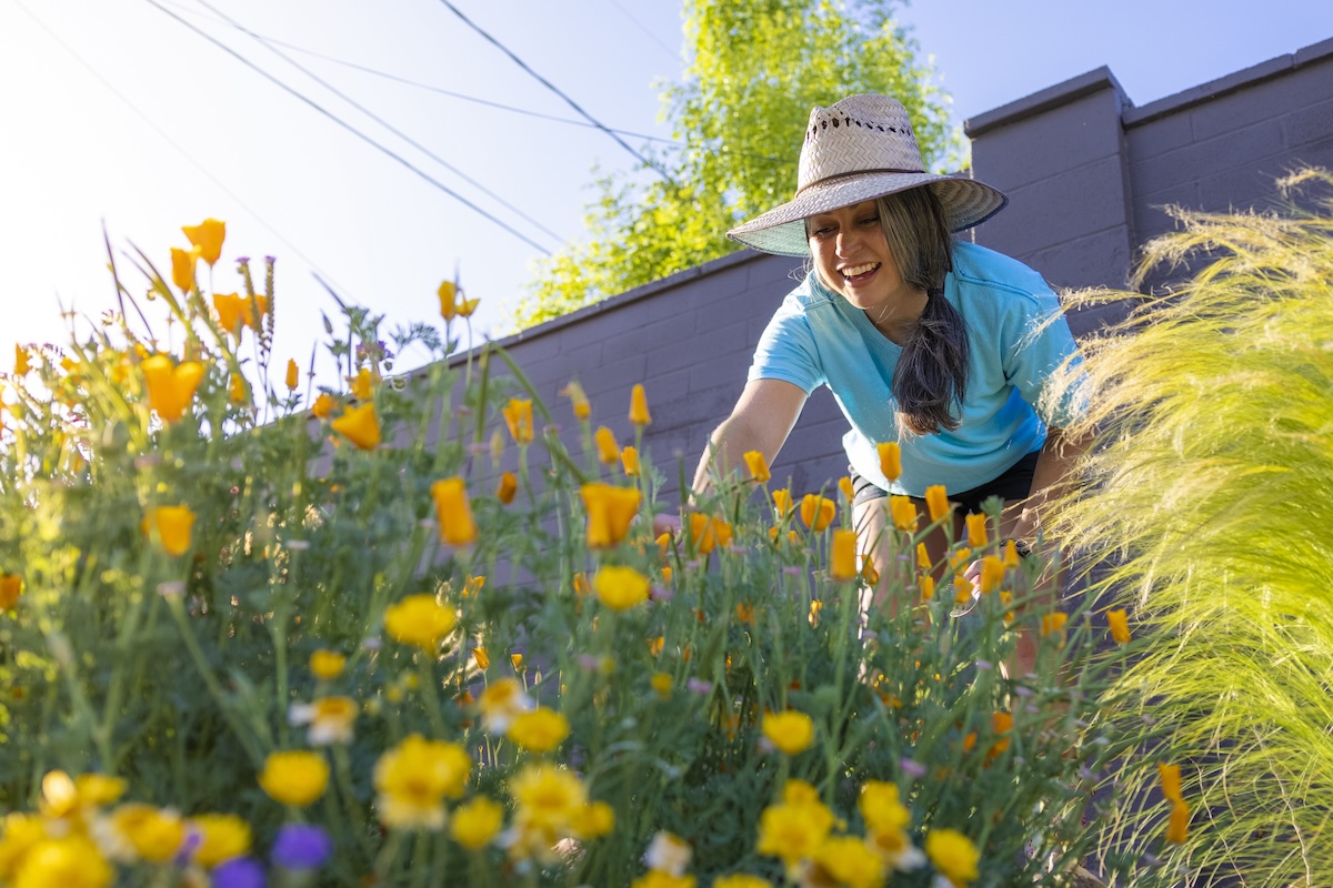 A woman gardening in her backyard xeriscape with native wildflowers.