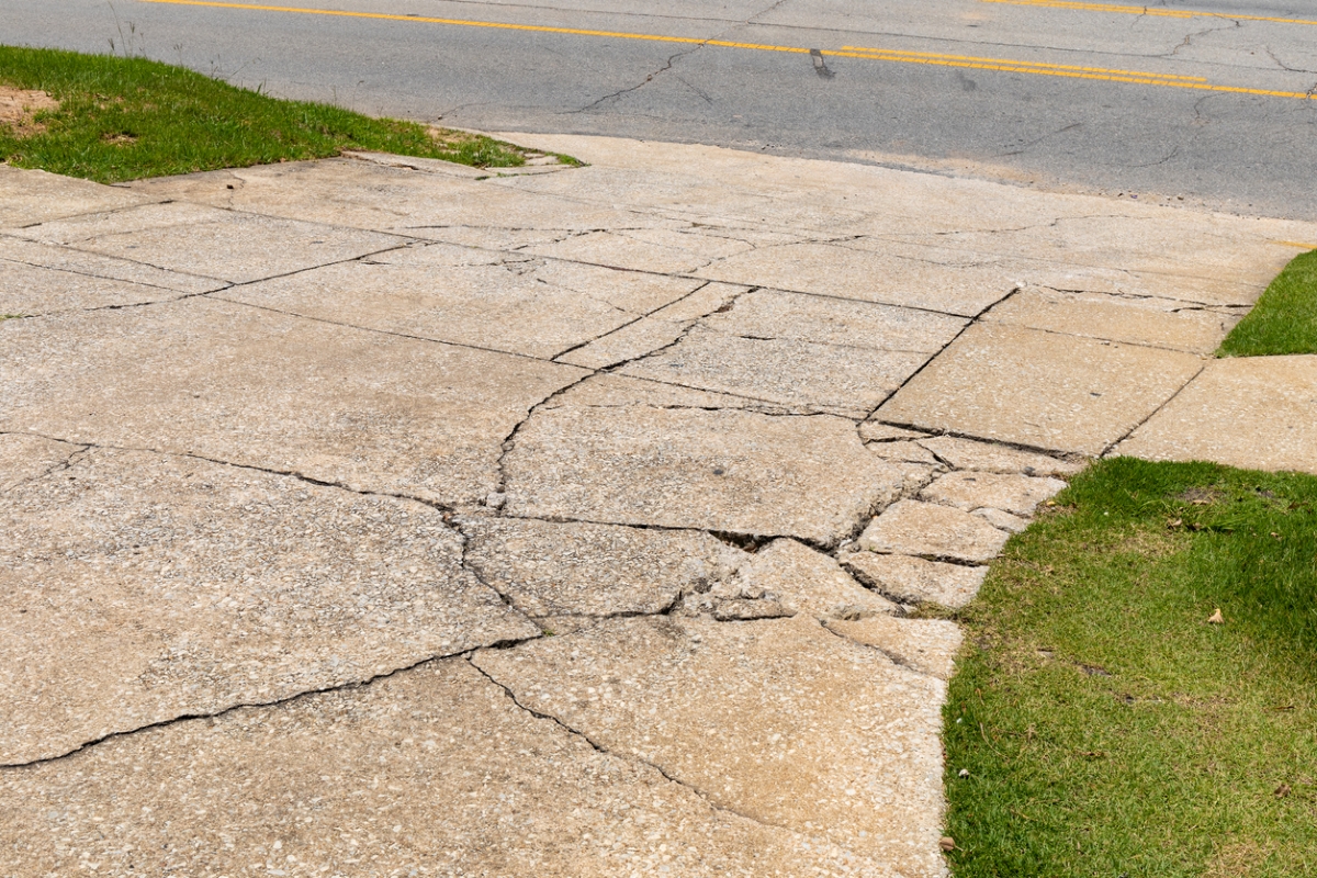 Multiple large cracks in an old concrete driveway.